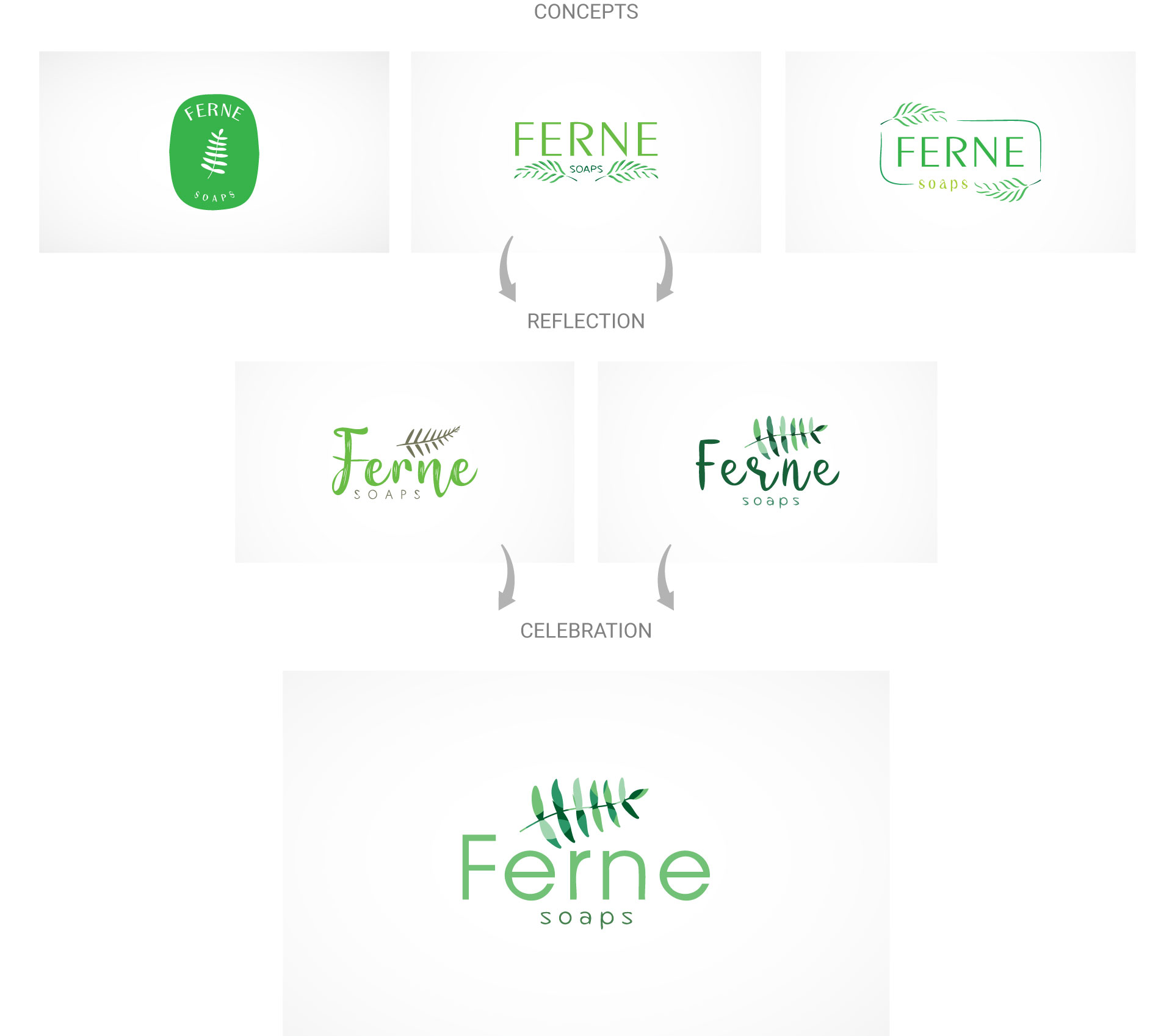ferne-soap-logo-design-process-by-mapleweb-vancouver-canada