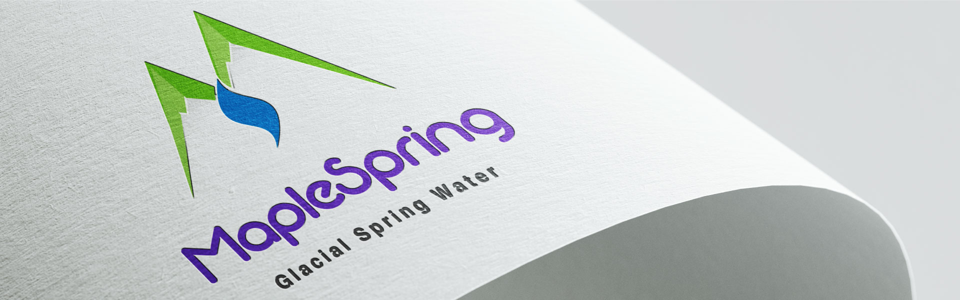 maplespring-brand-logo-design-by-mapleweb-vancouver-canada-brochure-mock